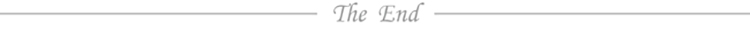 THEEND.jpg